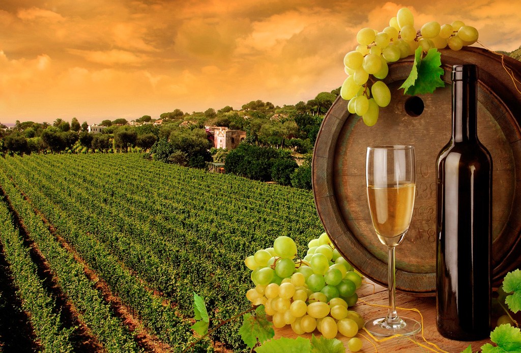 Federación Española del Vino