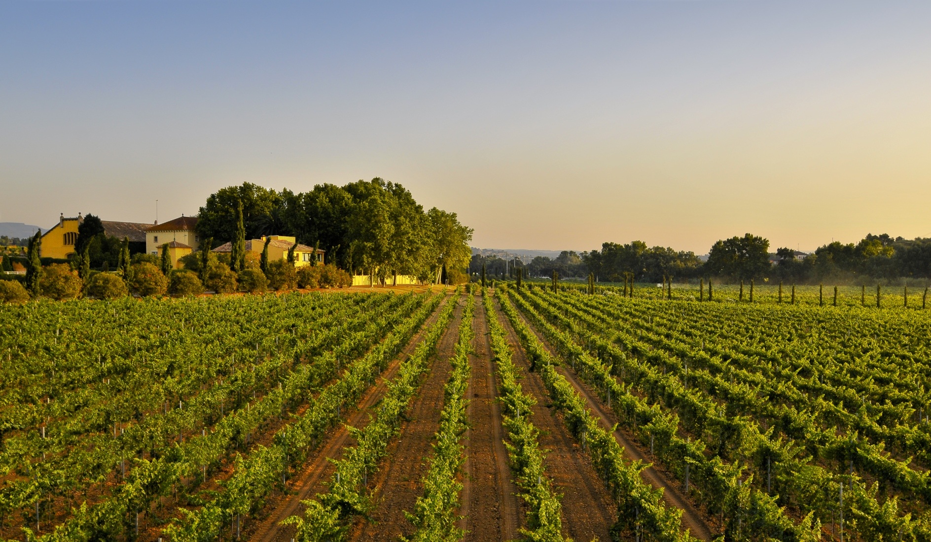 Familia Torres-villedos-Penedes