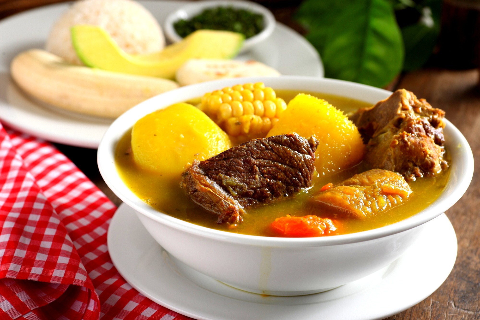 gastronomia dominicana-sancocho