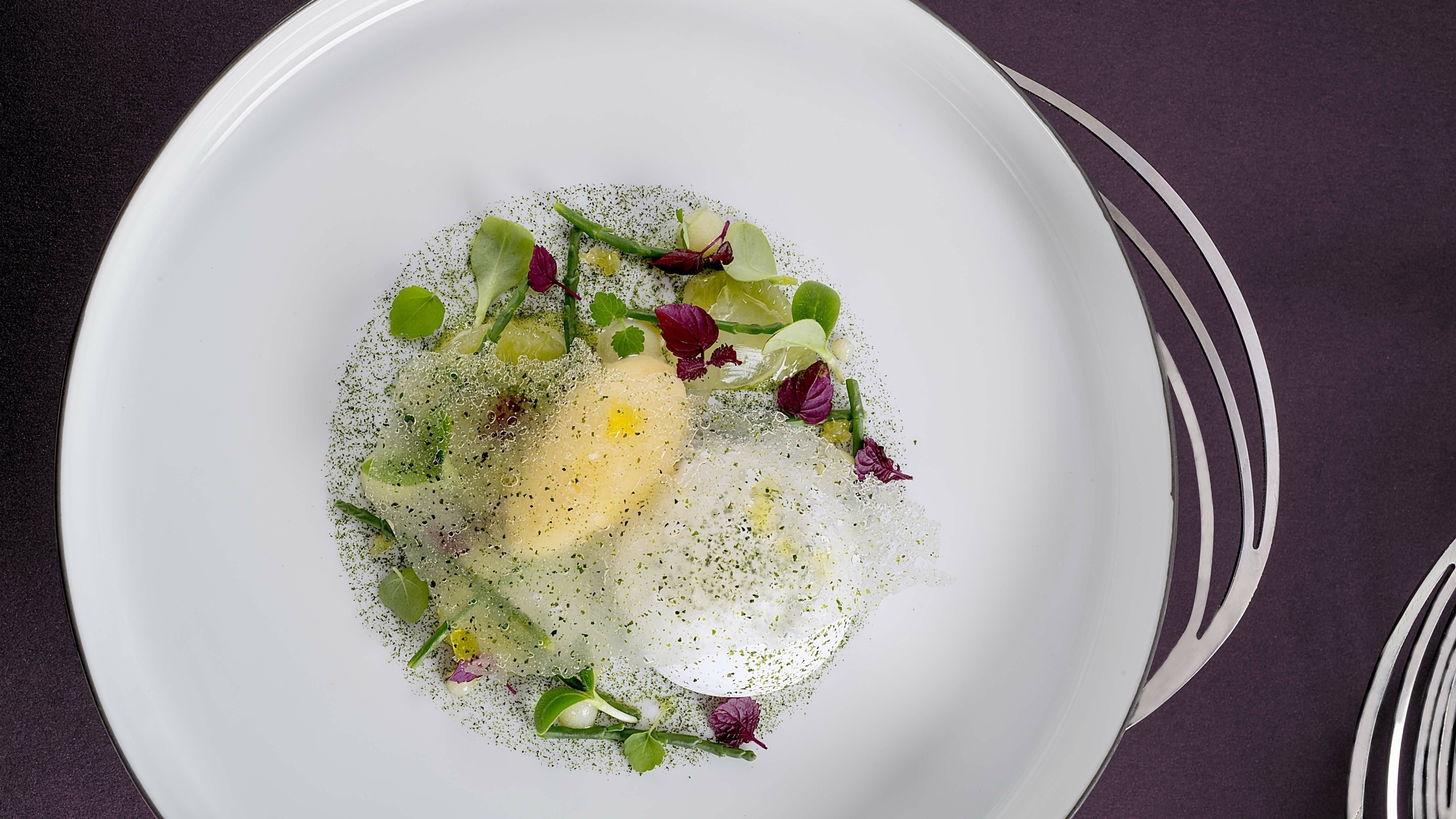 Sylvestre Wahid-plato