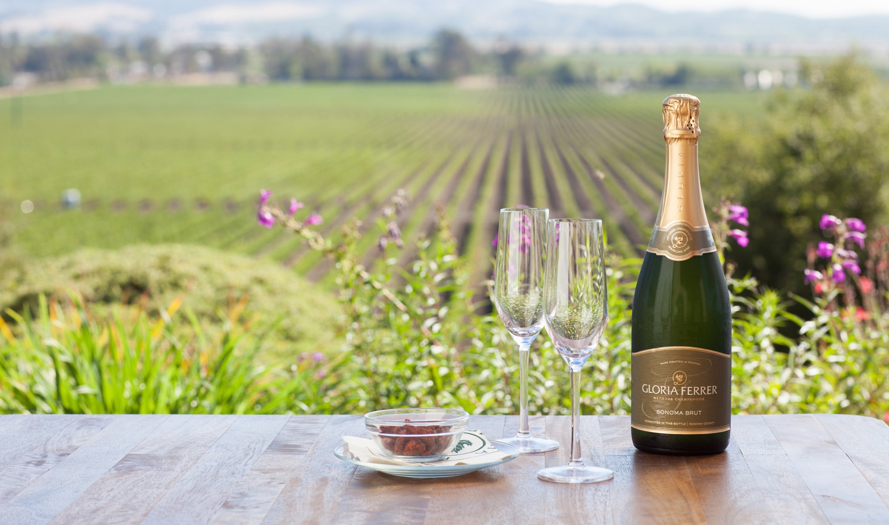 Freixenet-Gloria-Ferrer