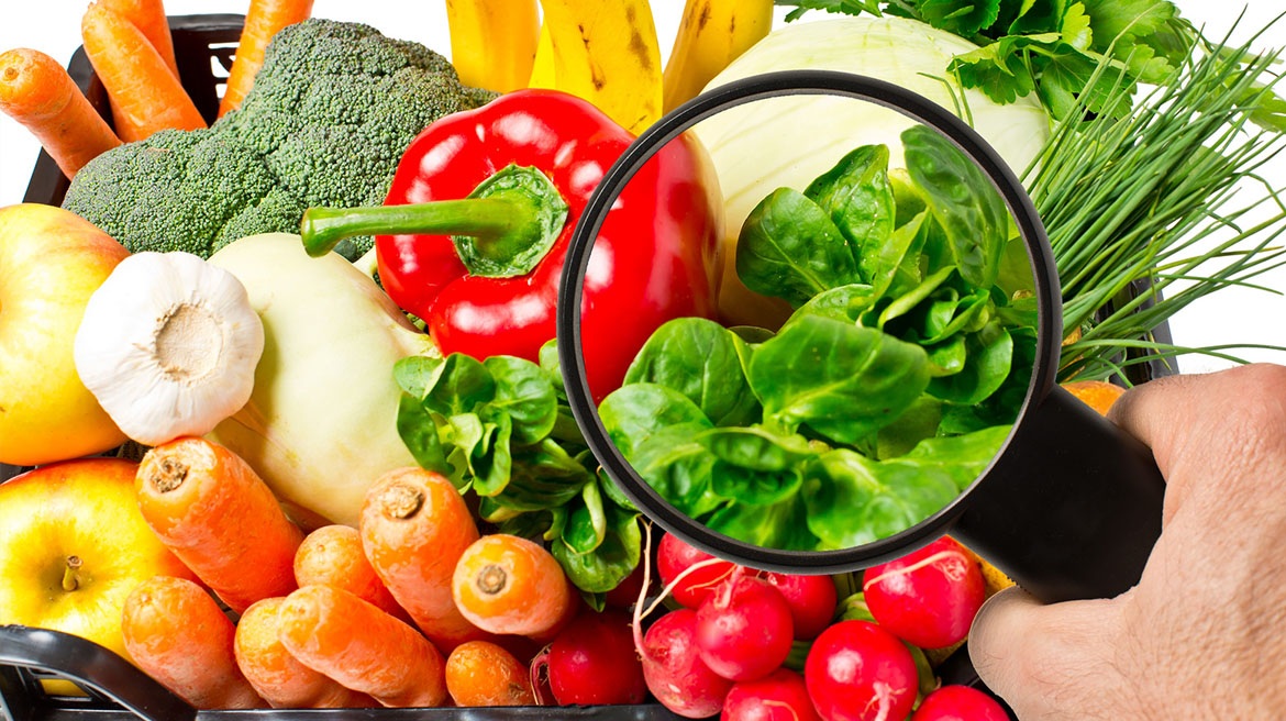 inocuidad alimentaria