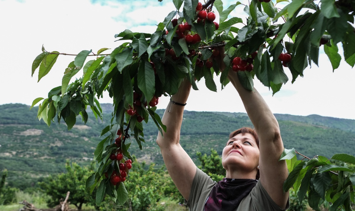 Turismo gastronómico