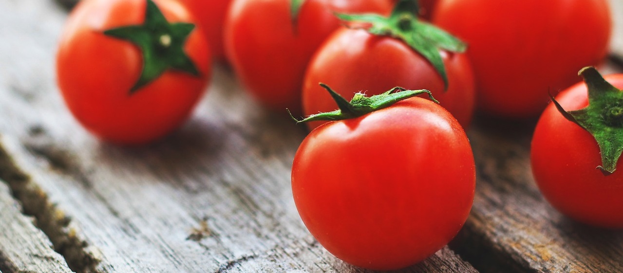tomates