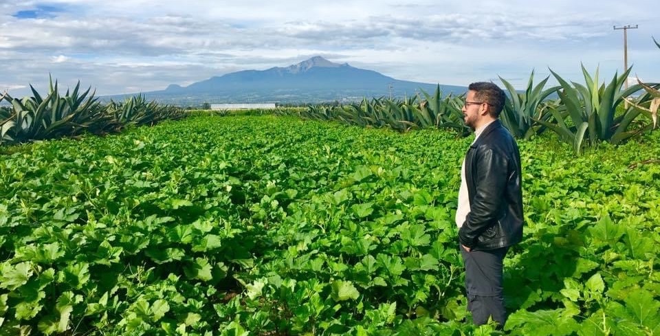 Regeneración de Productos Gastronómicos y Turísticos