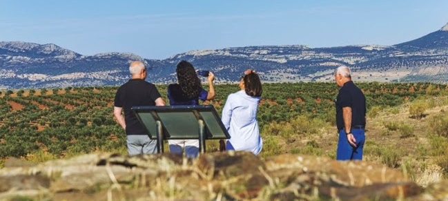 Ruta del Vino y del Cava Ribera del Guadiana