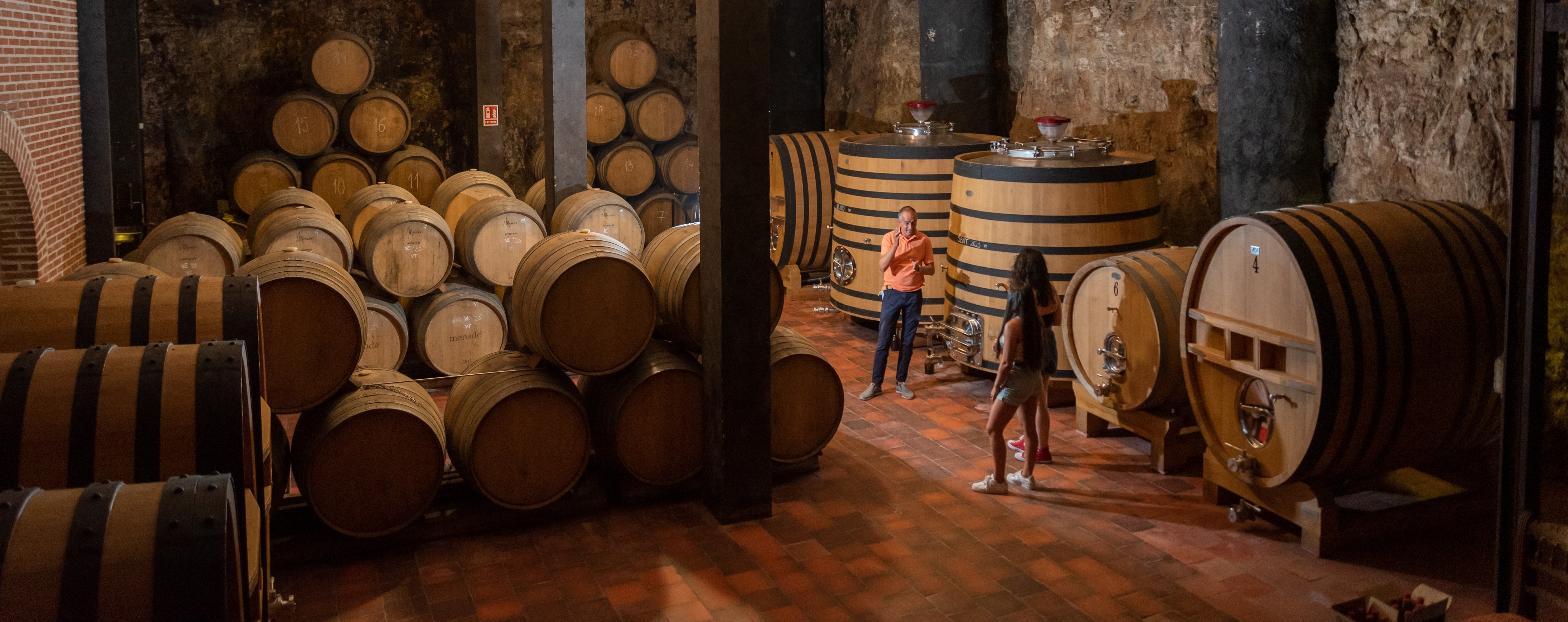 Ruta del Vino de Rueda