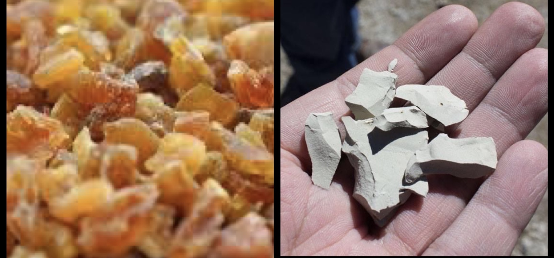 La KUKUPA y el ÑEQWIN