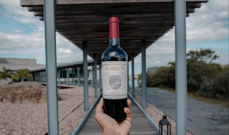 bodega garzón