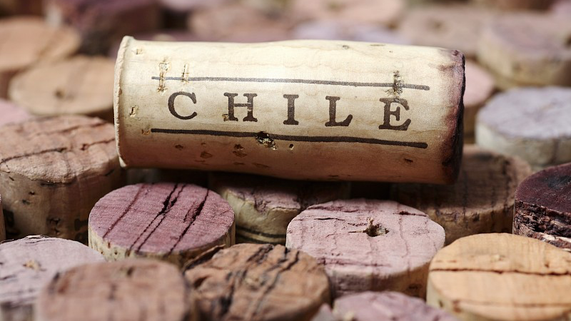 vinos chilenos