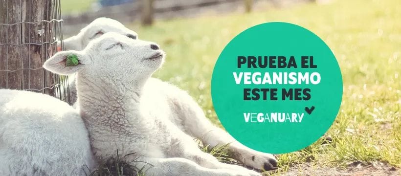 Veganuary