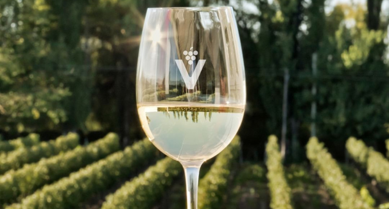 vinitech sifel burdeos 2024