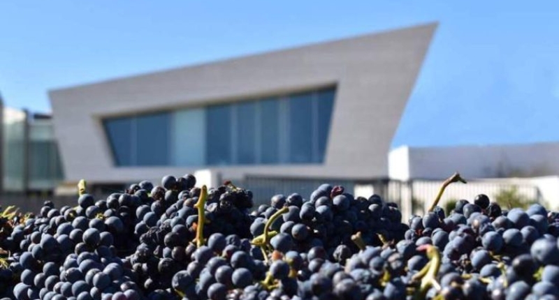 Capital europea del vino 2025