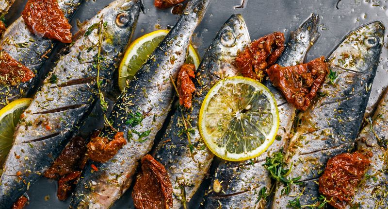 Capital española de gastronomía 2025