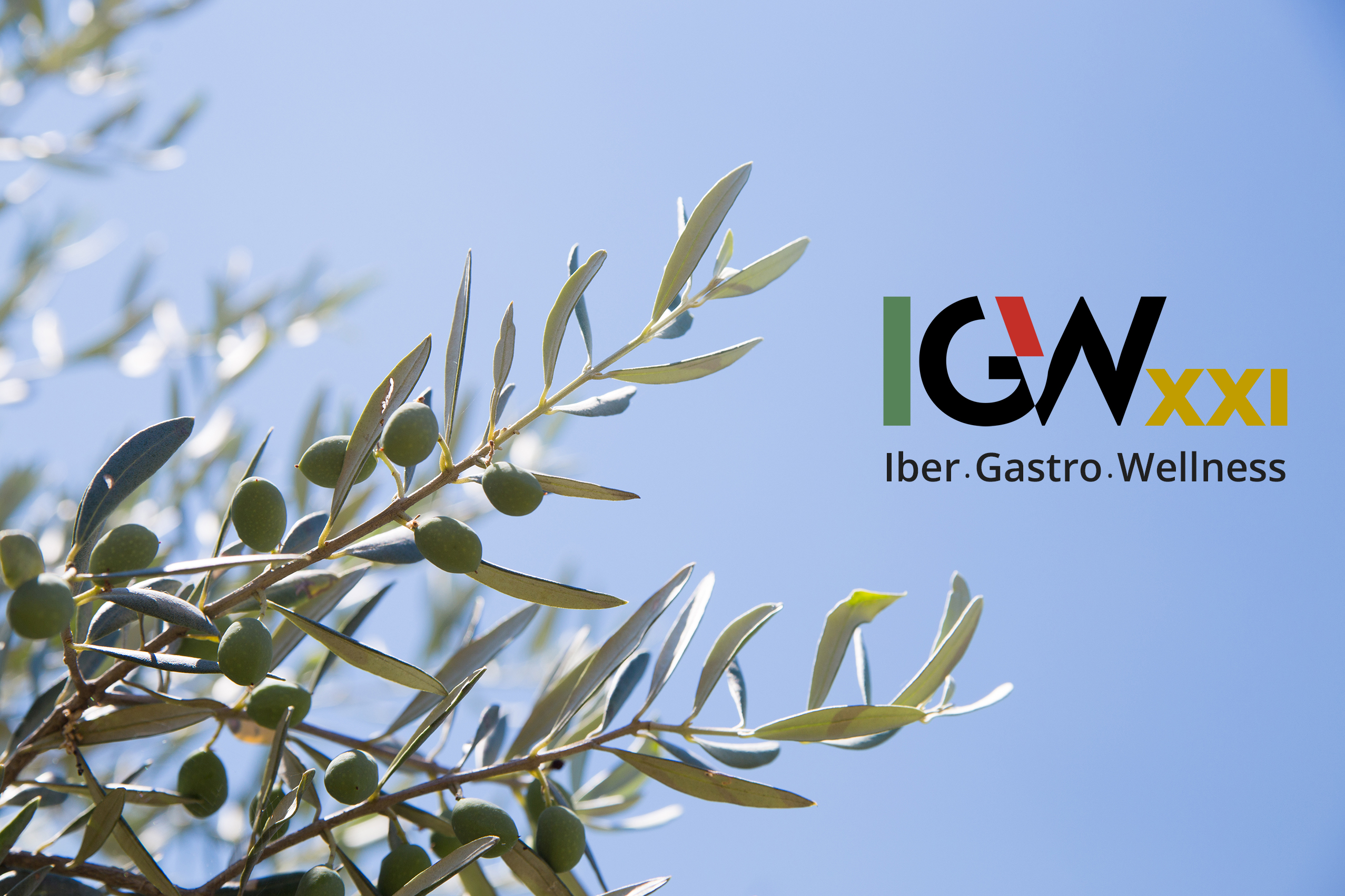 Iber Gastro Wellness XXI