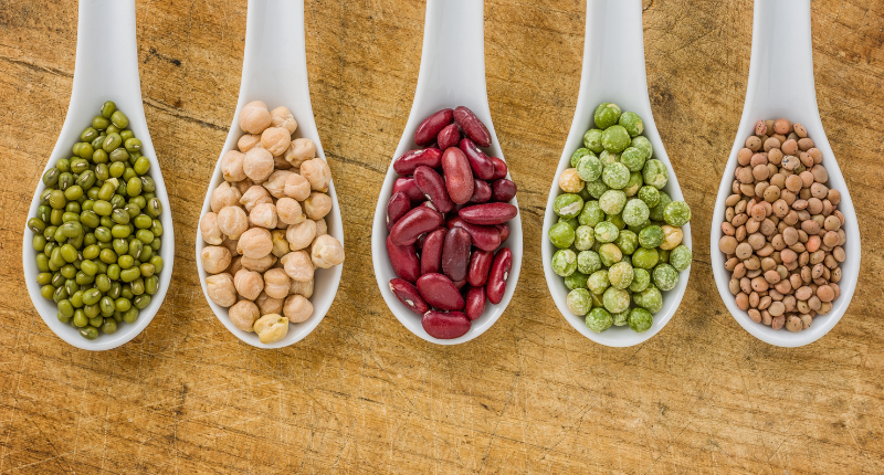 legumbres-proteina-dieta