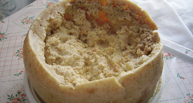 casu-marzu