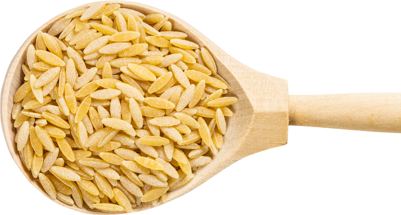 pastina-gastronomia-italiana