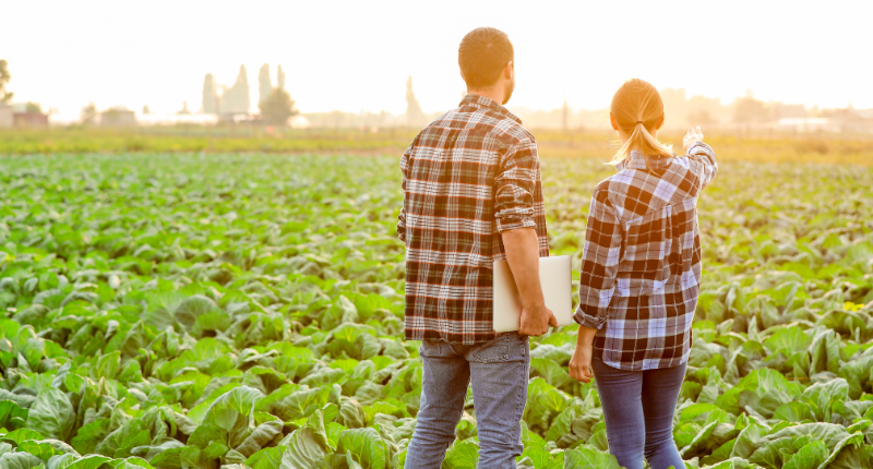 Jornadas de la verdura de calahorra 2025