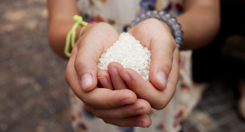 significado cultural de los alimentos