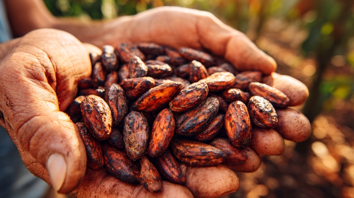 cacao de Ecuador