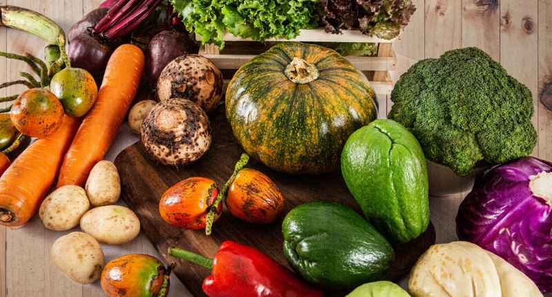 Costa Rica propone creación de Premio Nacional de Gastronomía 