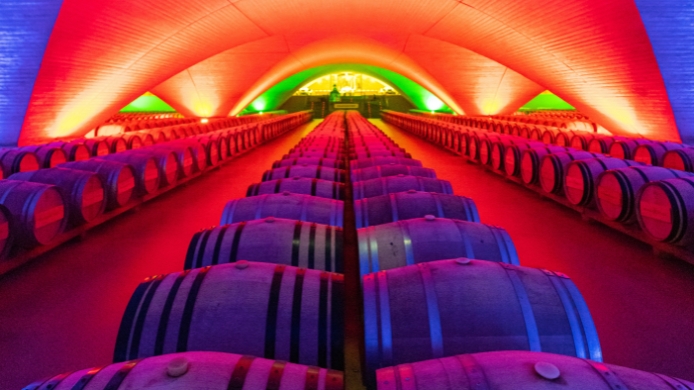 Sala de barricas de Otazu