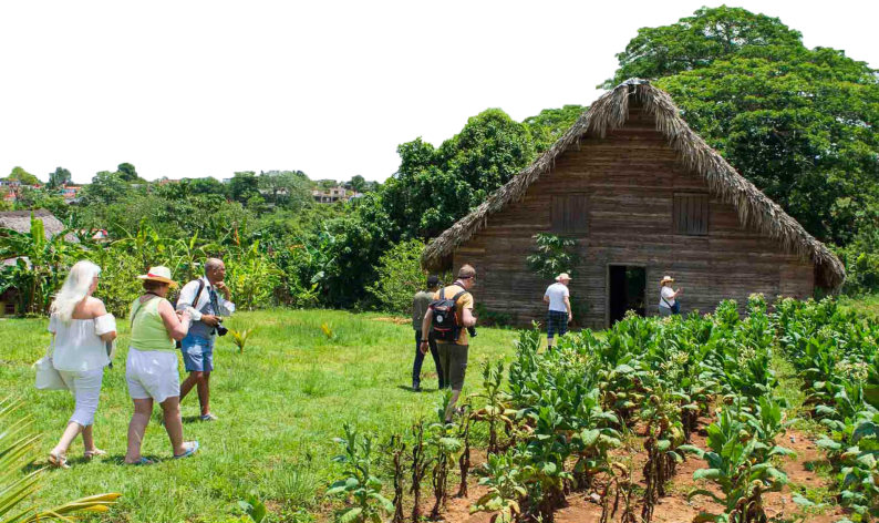 Agroturismo-tabaco-plantaciones