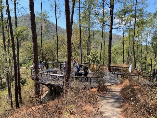 Mirador Jardín Botánico 