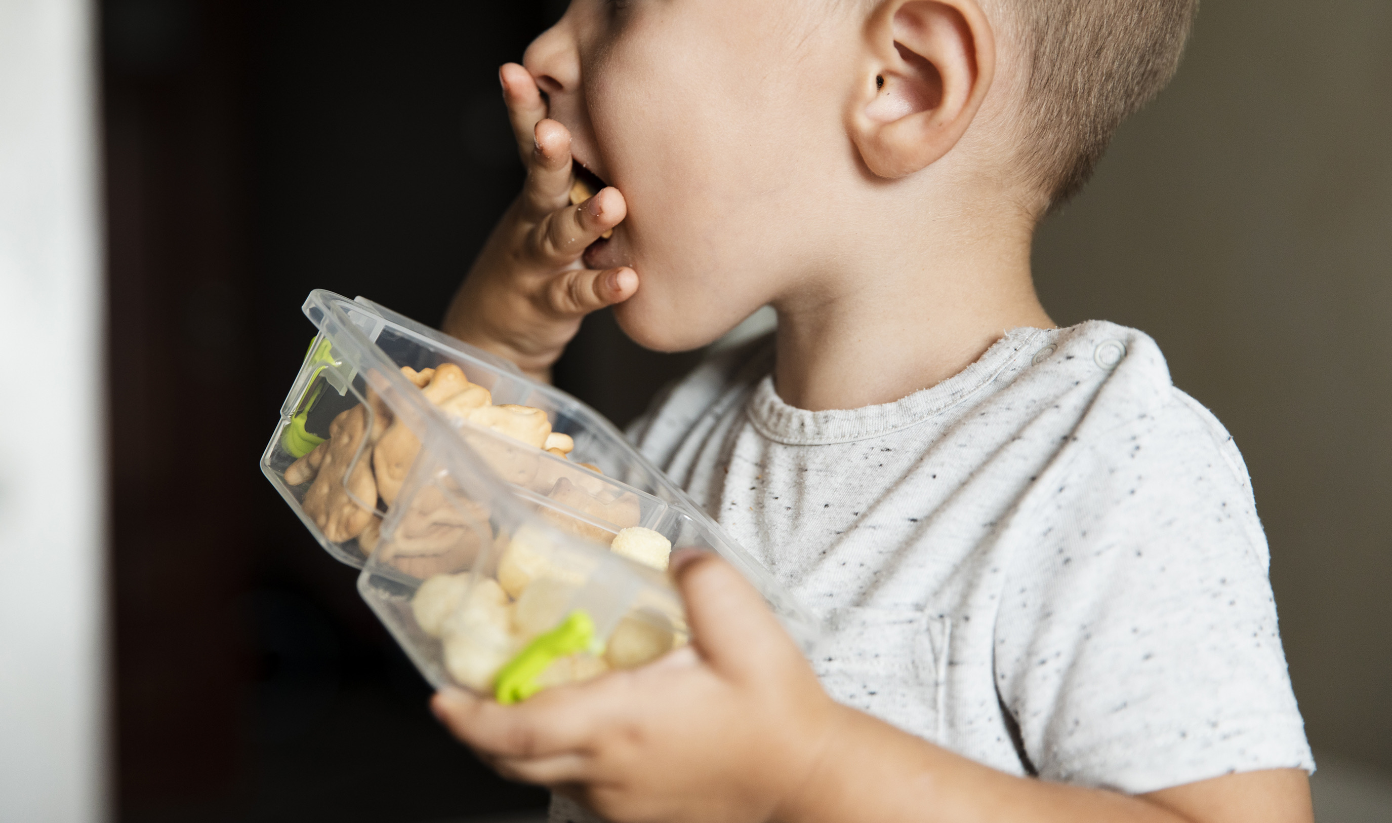 La ley mexicana contempla medidas para evitar la malnutrición infantil. (Foto: Freepik)