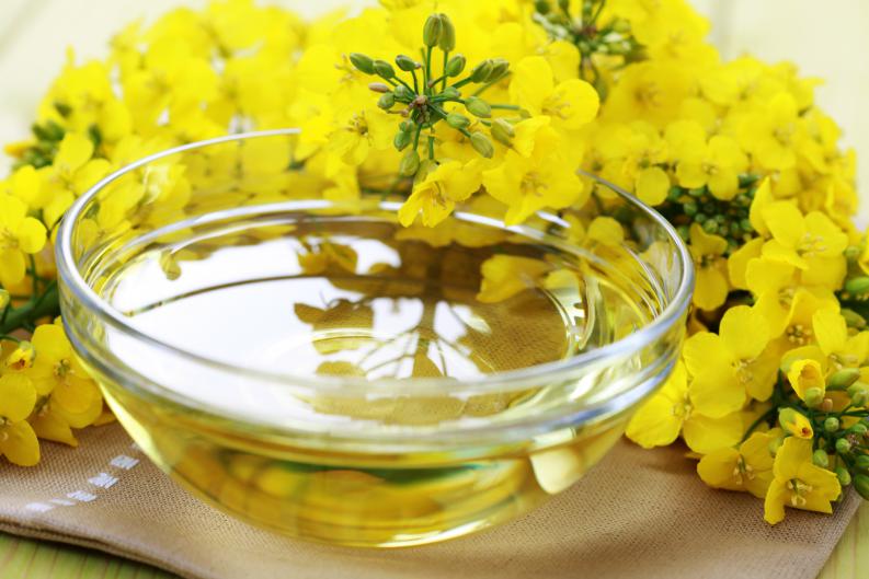 alimentos ricos en omega 3-aceite de canola