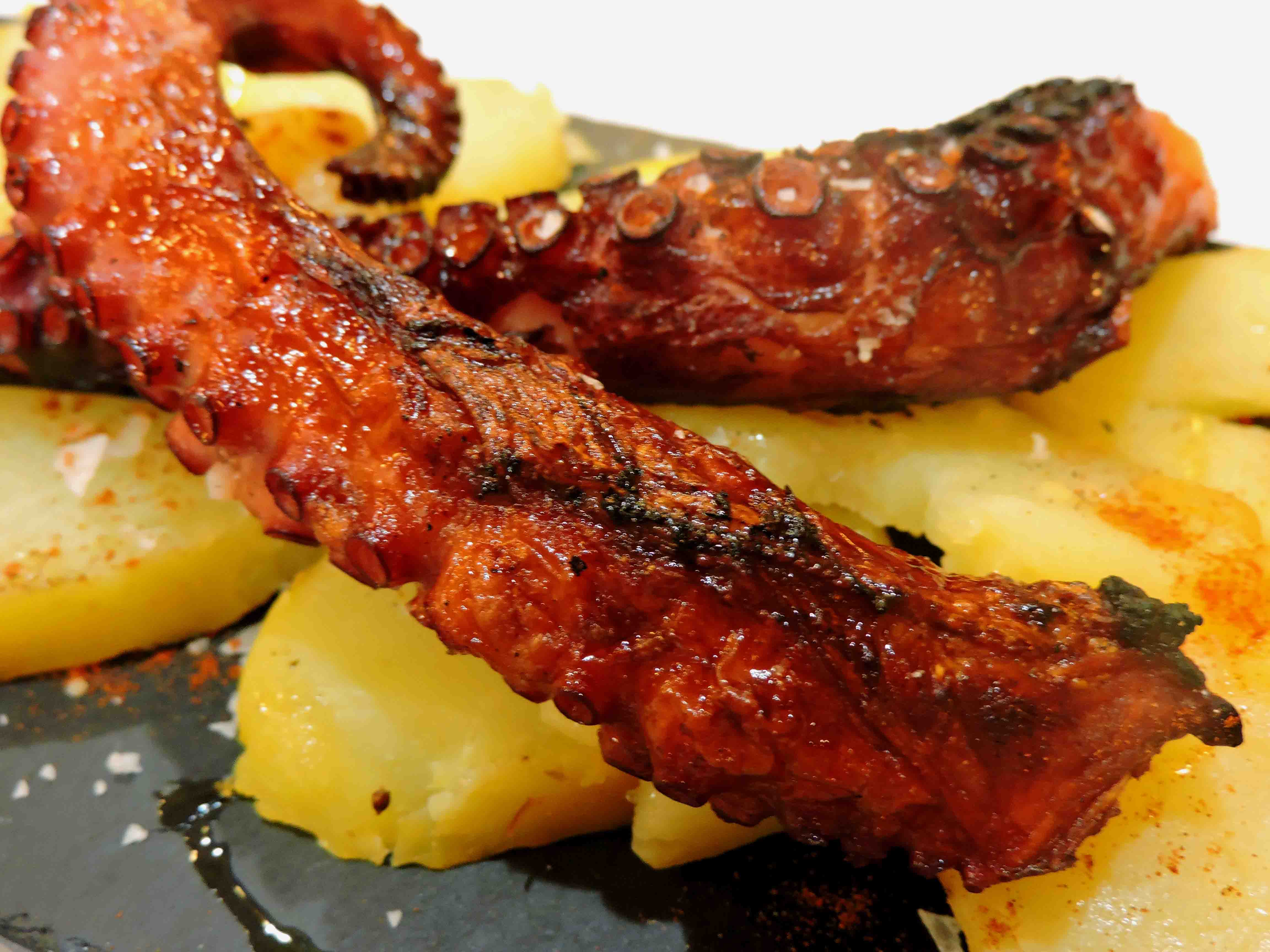 can-mauri-restaurente-plato