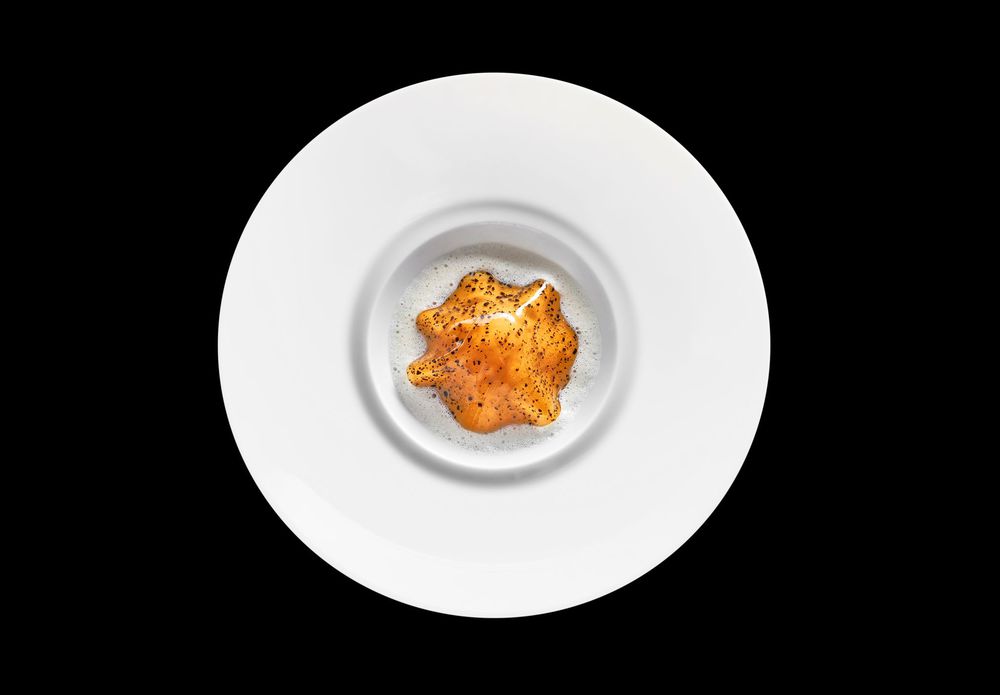 Frédéric Anton-plato