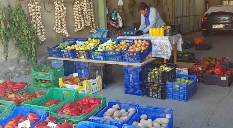 Productores exhiben sus hortalizas