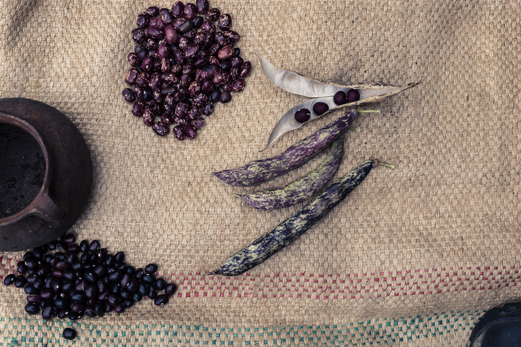 Museo Campesino de Gachancipá