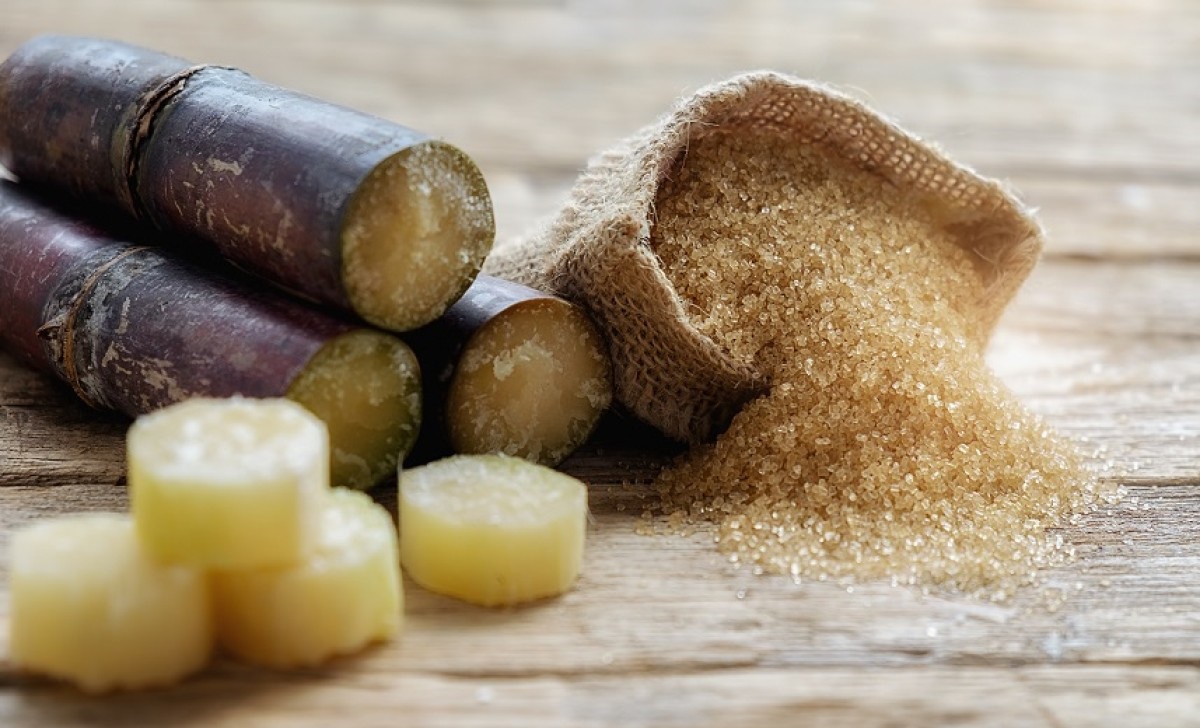 alimentos de ida y vuelta-azucar