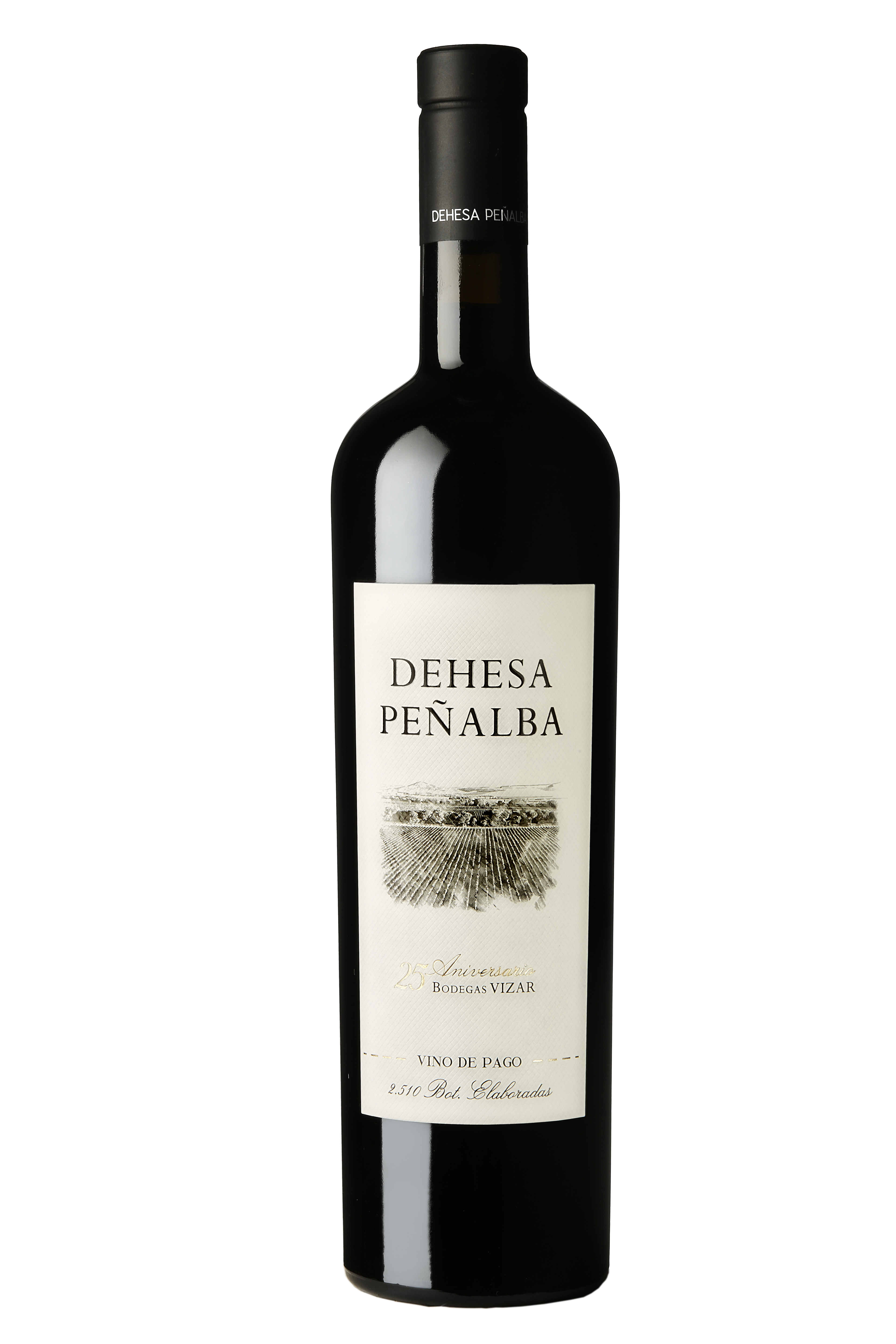 Bodegas Vizar dehesa peñalba