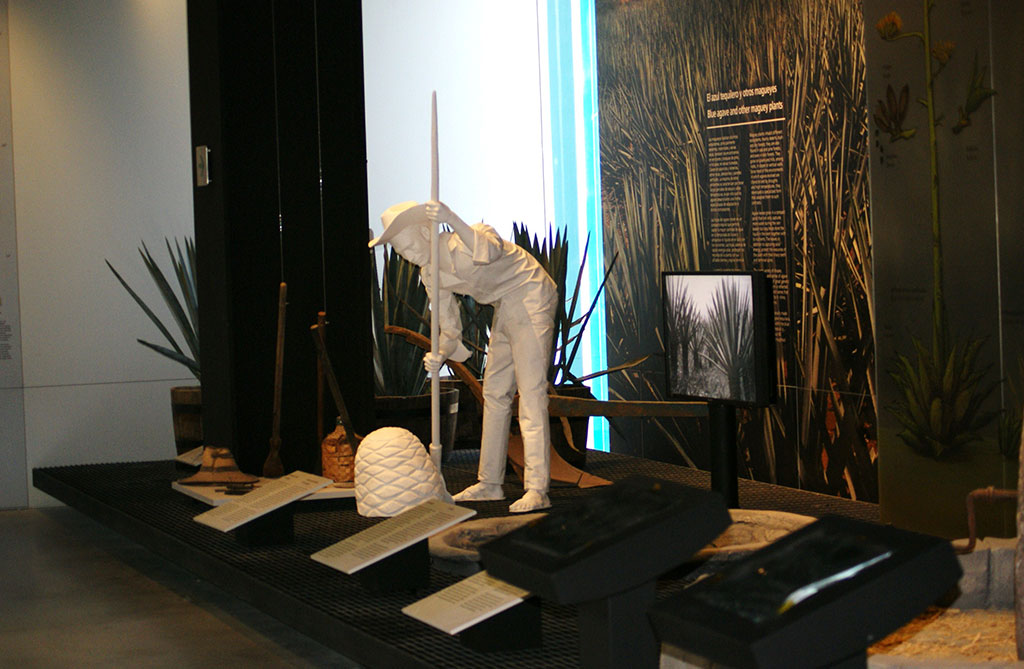 Museos gastronómicos-MUTEM