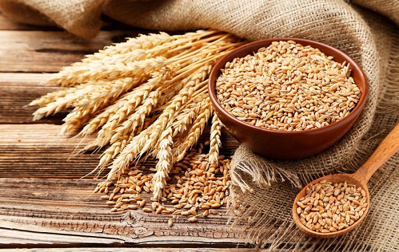 Alimentos de ida y vuelta-trigo