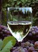 Vinos y Comida Gourmet desde el Suroeste de Francia