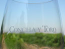 Chile: Concha y Toro cambia su producción de vinos blancos para Casablanca y Limarí