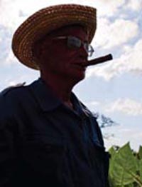 La potencia de los Habanos