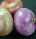 La cebolla contribuye a la conservación de los alimentos