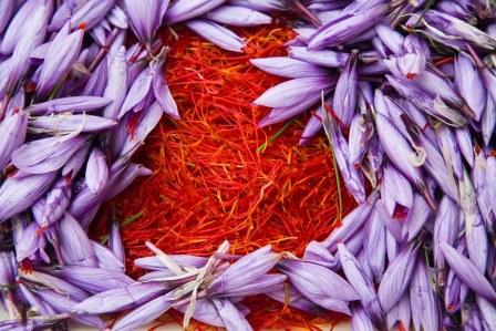 El azafrán no solo es luz, sino olor y sabor en la cocina
