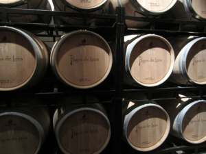 Bodegas Pagos de Leza: enoturismo en Estado Puro