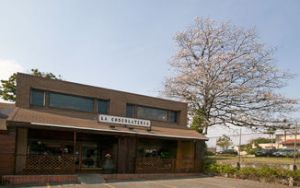 Chocolaterías de arte gourmet expanden su oferta en Costa Rica