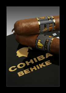 Los Habanos más premiados del 2011