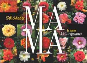 La Compañía Turística Habaguanex S.A. lo invita a celebrar el Día de las Madres 