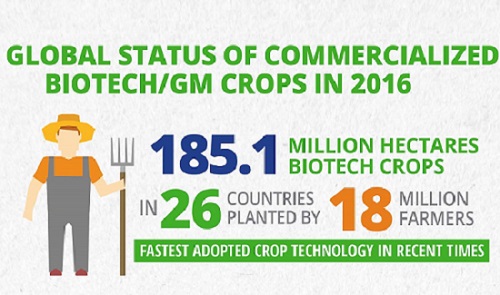 Informe sobre el crecimiento de los cultivos transgénicos en el mundo 2016