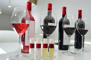 ¿Has estado alguna vez en una cata en la que NO hubiera vinos?